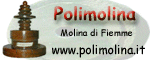 Polisportiva Molina di Fiemme