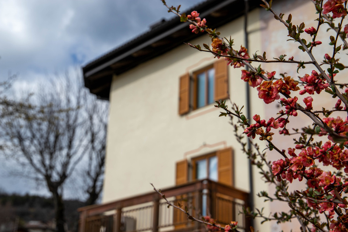 Appartamento Vacanze / Flat / Wohnung zu vermieten a Castello Molina di Fiemme - Signora Enrica - Via Milano 26/a - Tel: 3459782099