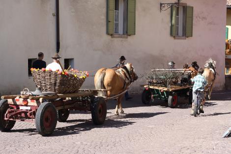 Clicca per ingrandire