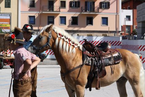 Clicca per ingrandire