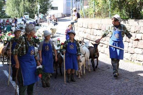 Clicca per ingrandire